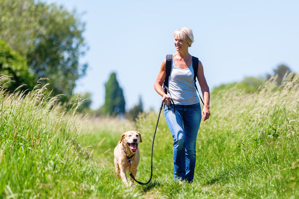 The Power of Pets and How Owning One Can Benefit You Physically