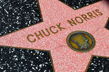 The Chuck Norris Effect: Taking on Fitness Like a Boss Lady