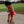 Hip & Core System